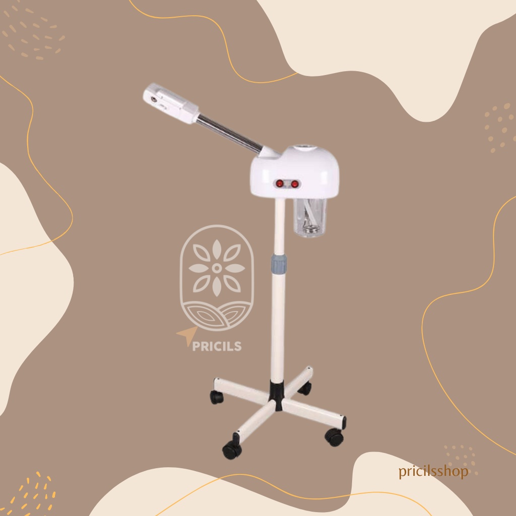 Vapozone / Steamer Facial