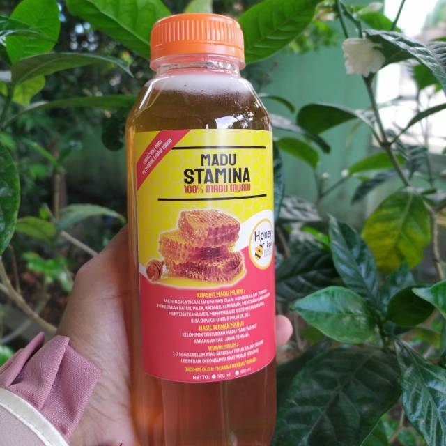 Madu Stamina 500 ml