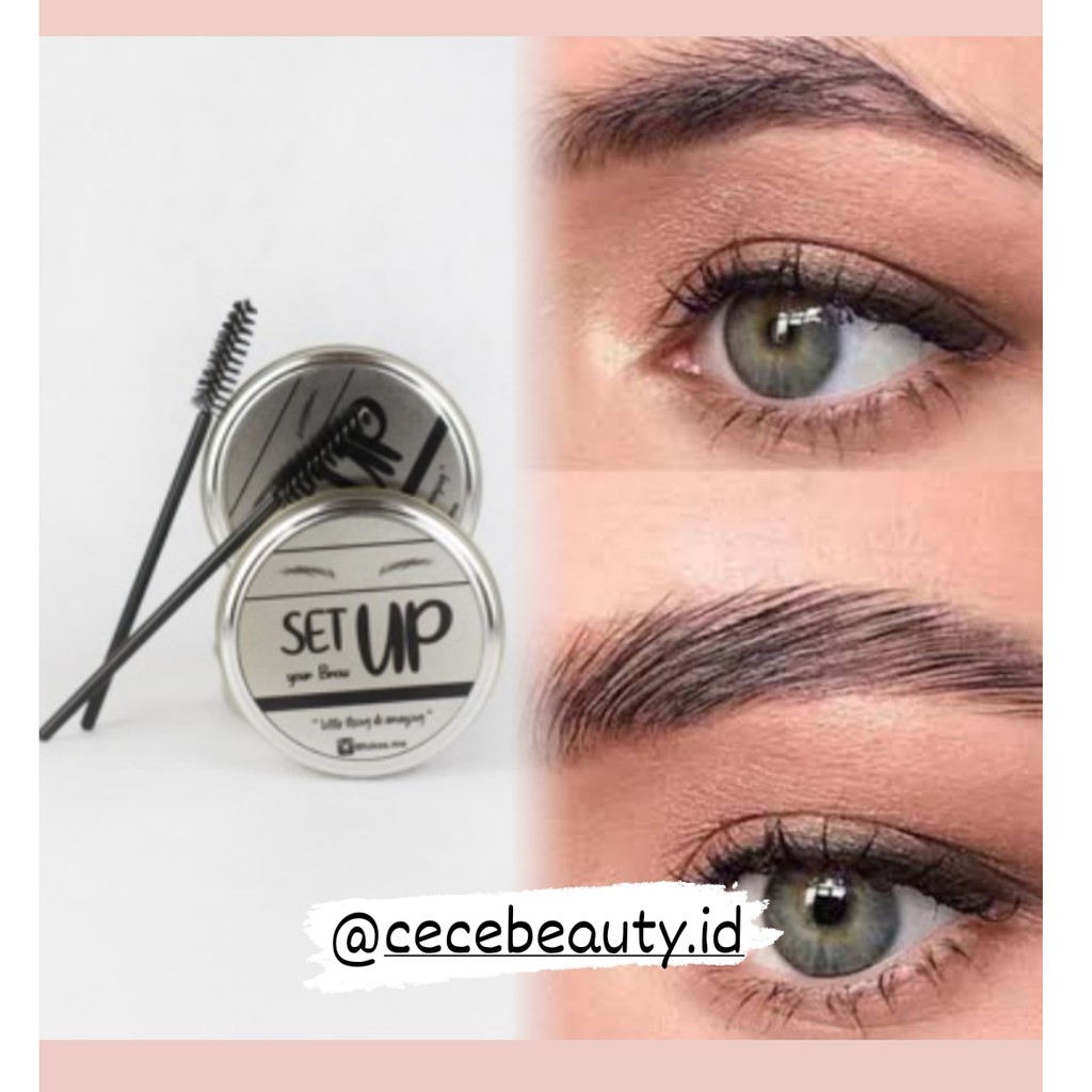 SET UP BROW/FEATHER BROW