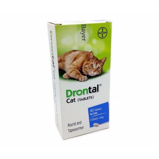 Obat cacing drontal cat