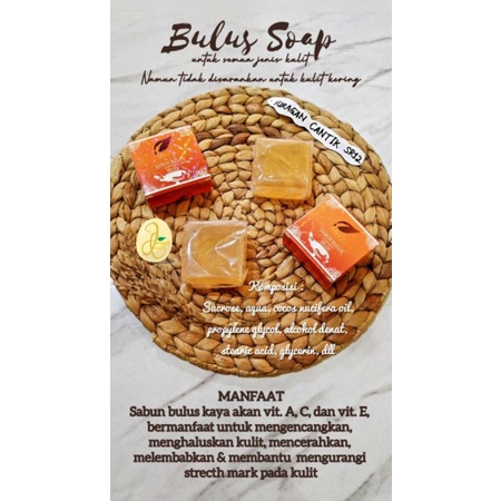 SABUN BULUS SR12