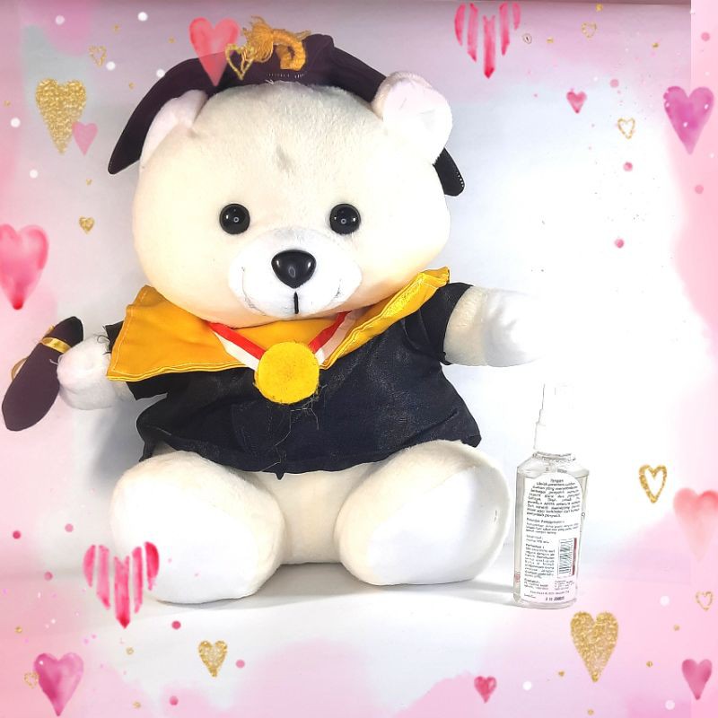 BONEKA WISUDA TEDDY BEAR