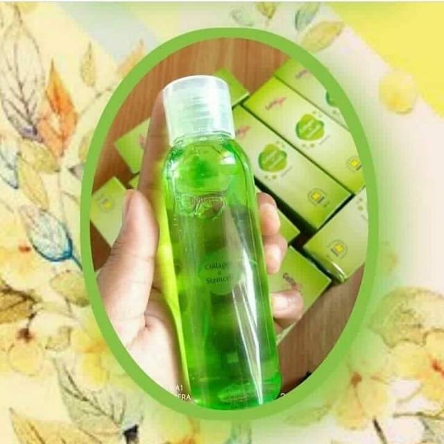 Collaskin Shampoo Steemcell