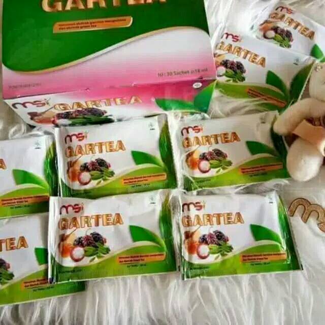 MSI GARTEA