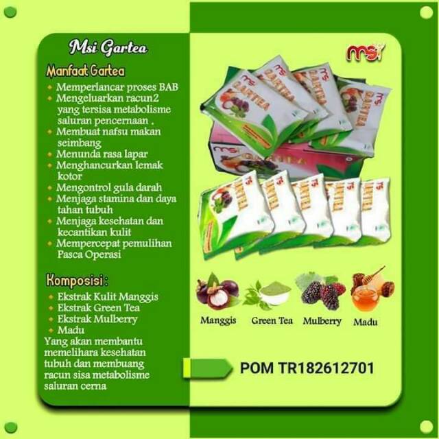 MSI GARTEA