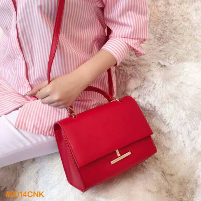 CnK T bag 2014CNK