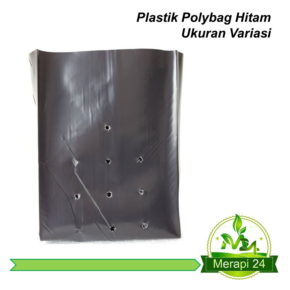 Plastik Polybag Hitam 1Kg