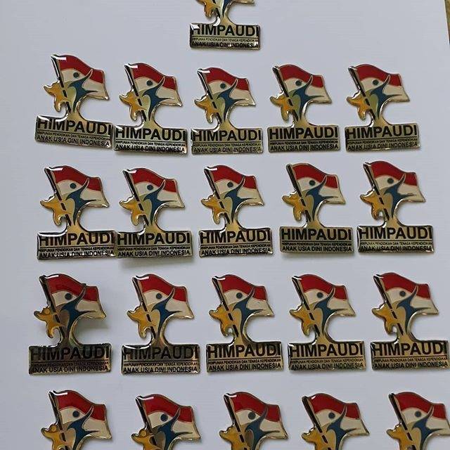 pin/bros himpaudi