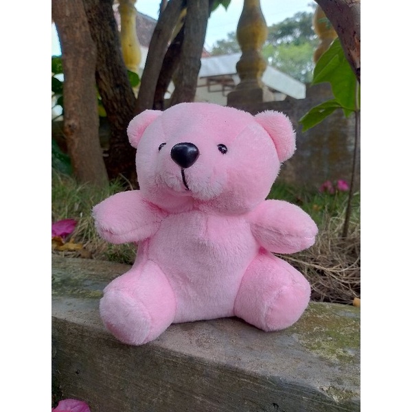 Boneka teddybear/boneka wisuda/teddybear mini