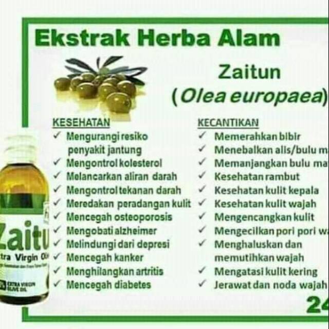 ZAITUN