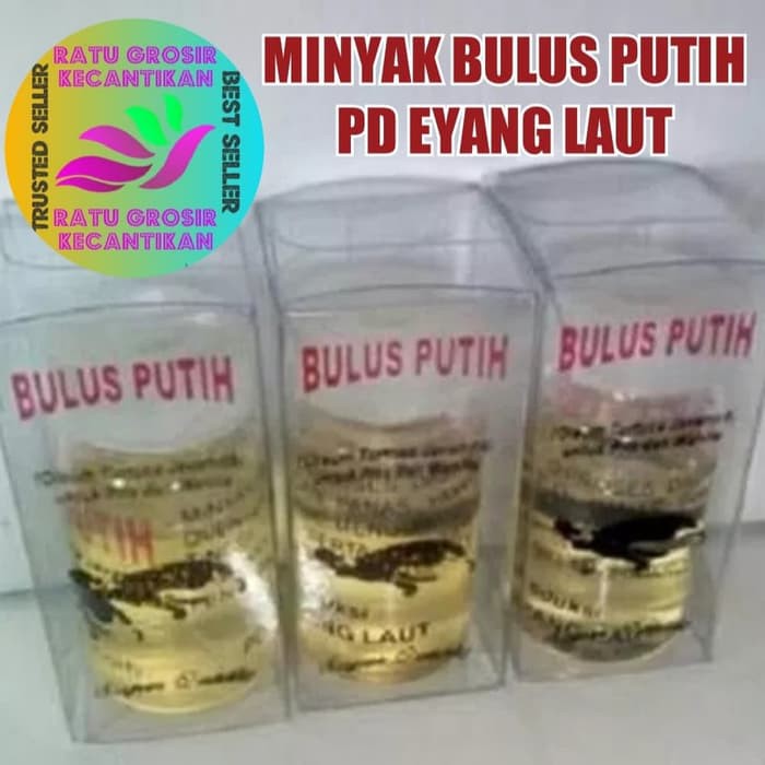 MINYAK BULUS -rat01