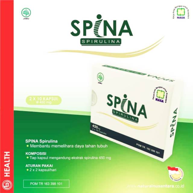 SpiNa NASA