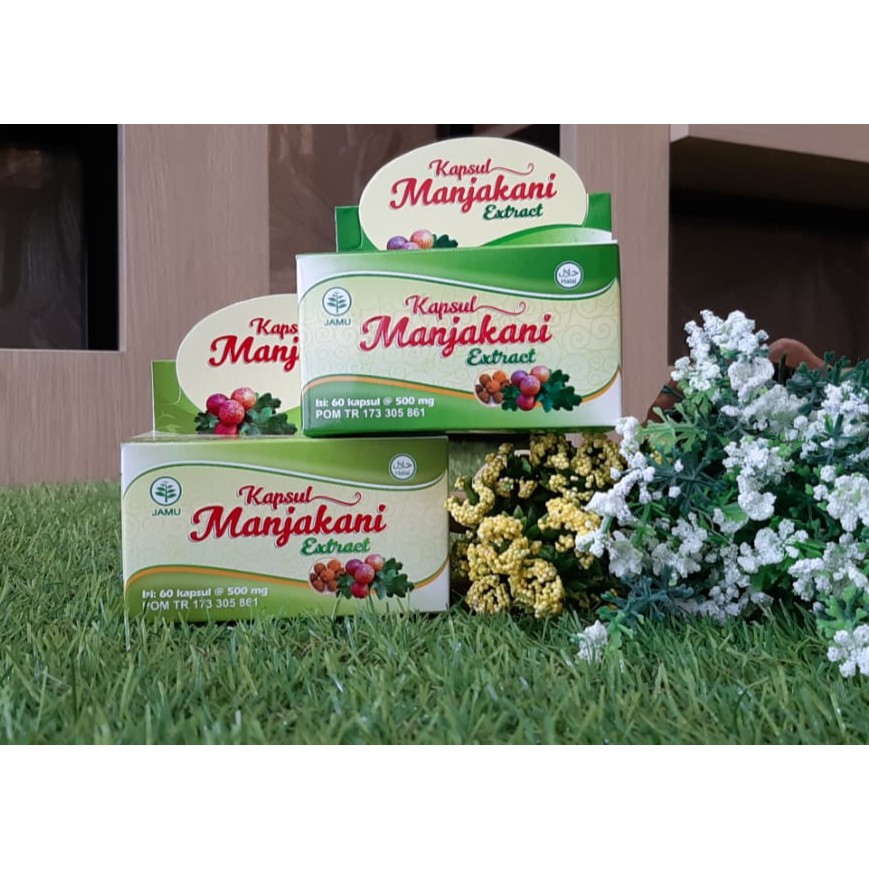 Kapsul Manjakani Extract 60 Kapsul