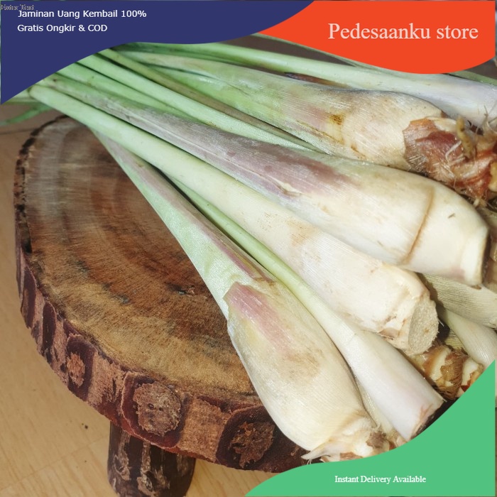 Sereh Segar 1kg COD