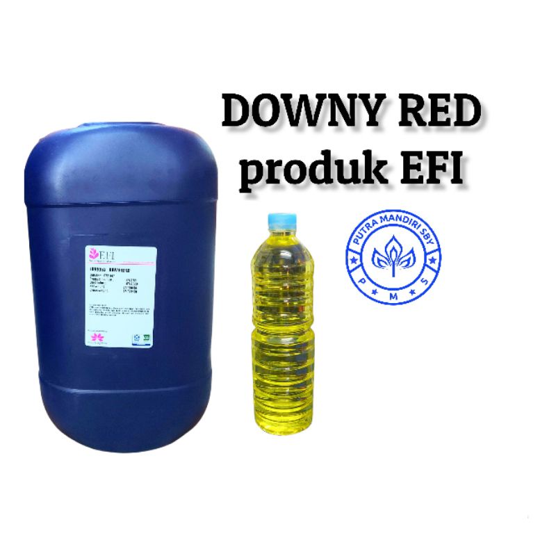 DOUNI RED BIBIT ORIGINAL EFI