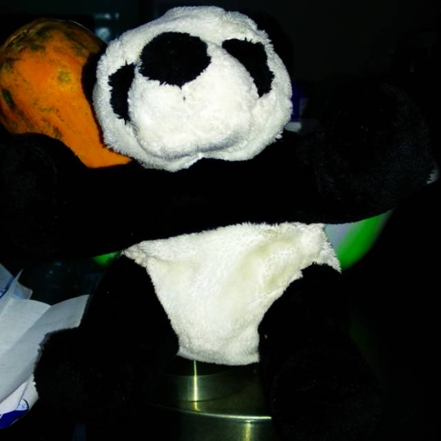 Boneka teddy bear