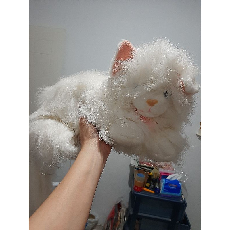 ready boneka kucing