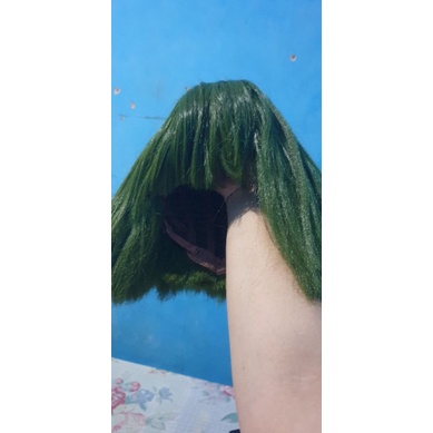 rambut palsu
