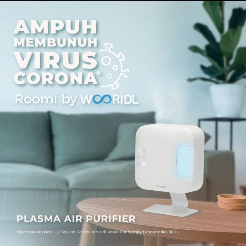 ROOMI ( CORONA VIRUS  LENYAP )