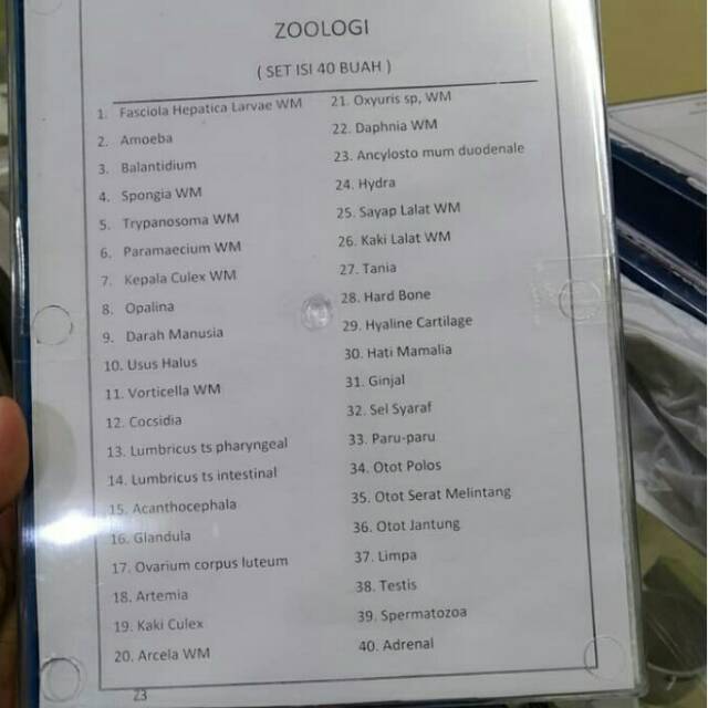Preparat Zoologi 40 macam
