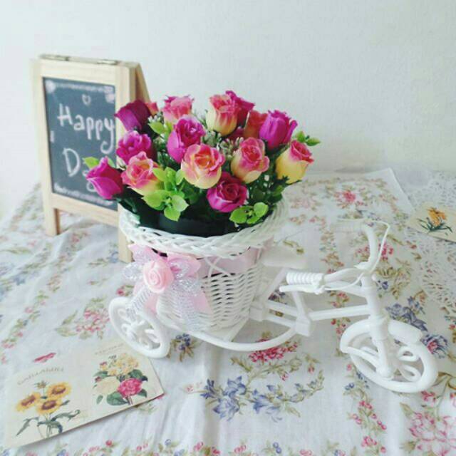 Baby Rose Bicycle D