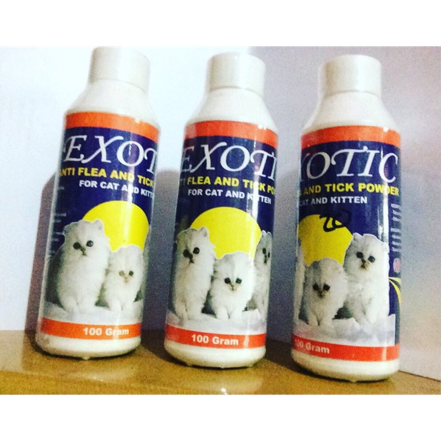 Bedak Kutu Exotic