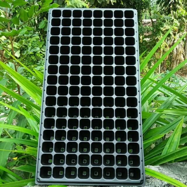 Tray Semai isi 128