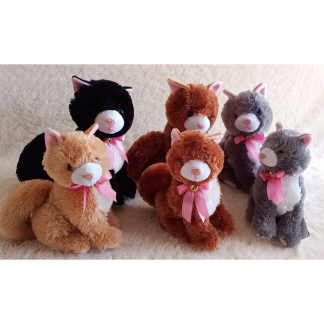 Sit Cute Cat
