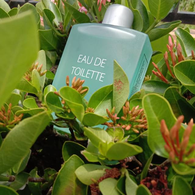 Parfum garuda 60ml dan 100ml