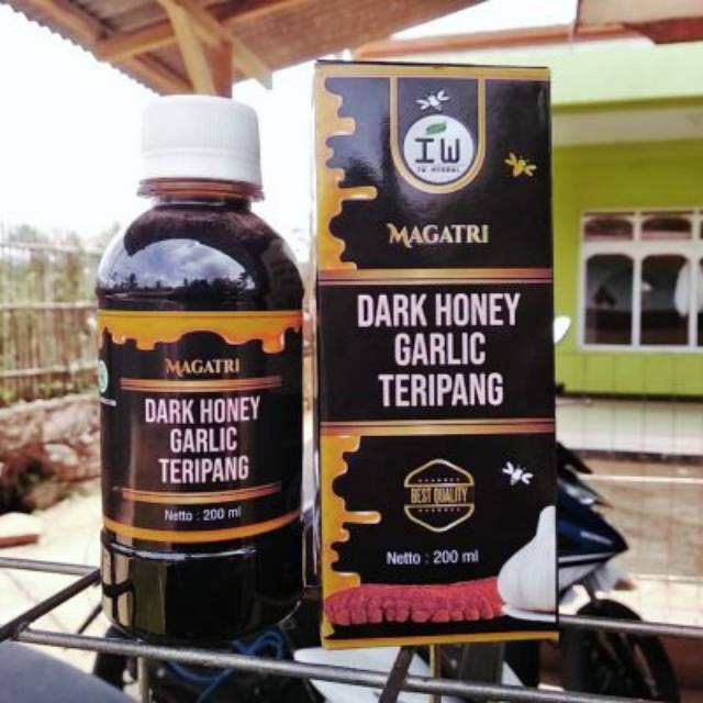 Obat Ginjal