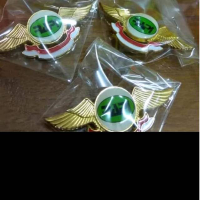Pin wing rapi