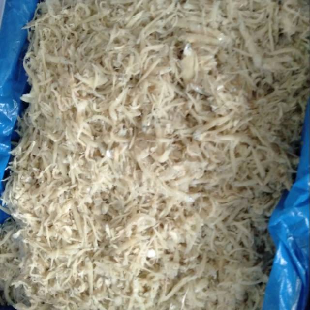 Teri medan