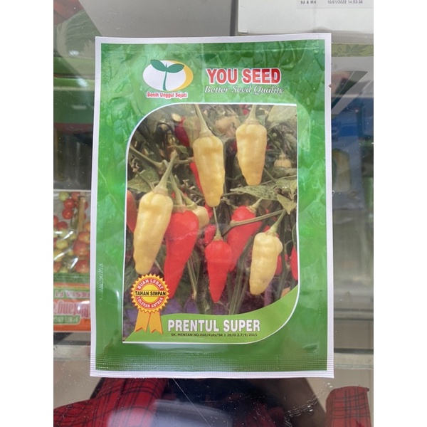 Benih/Bibit Cabe/Cabai Rawit Prentul Super