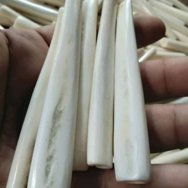Pipa once cangklong tulang sapi