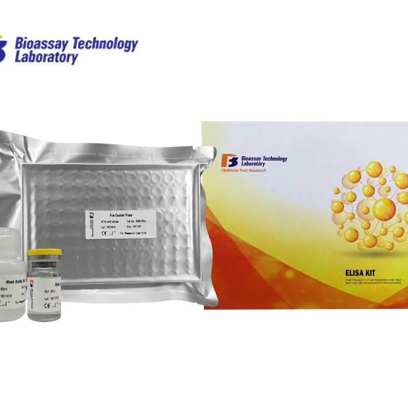 Collagen Type ELISA kit