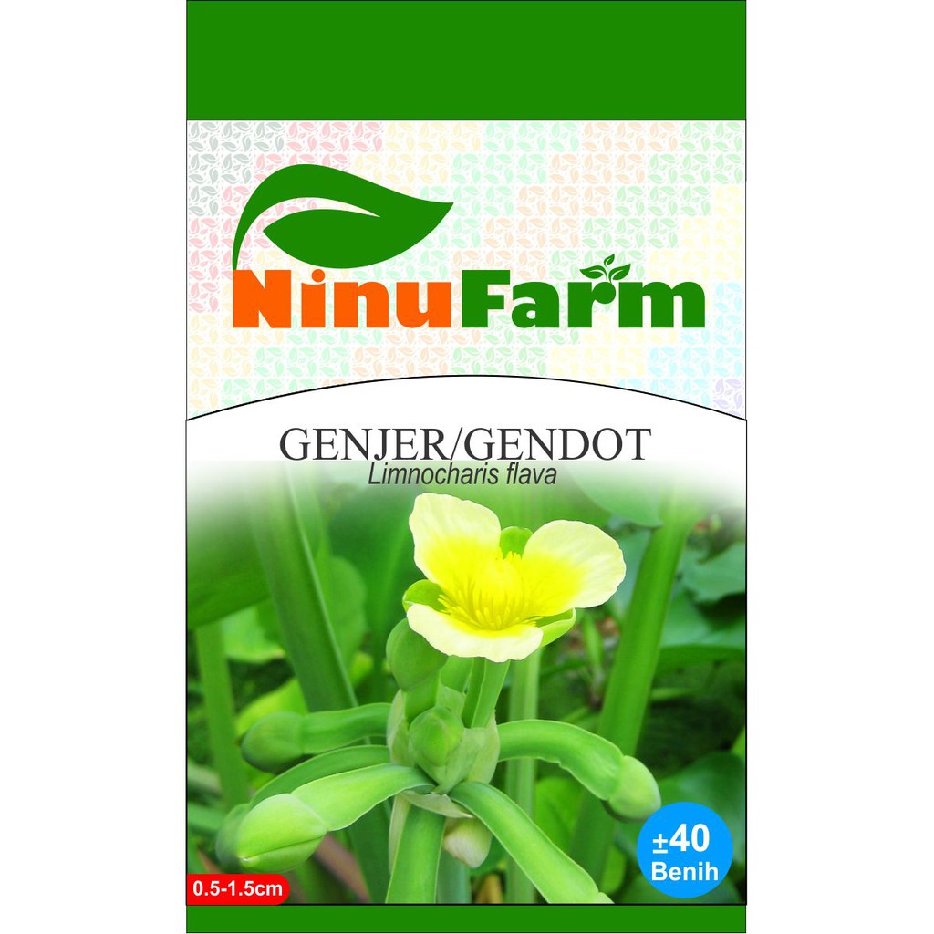 Benih Genjer/Gendot 40Seeds