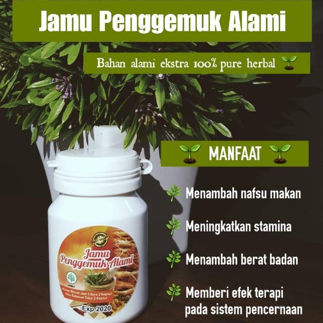 Suplemen Penambah Berat Badan