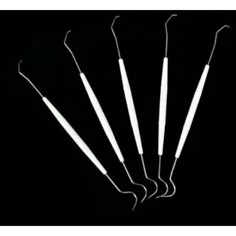 Sonde