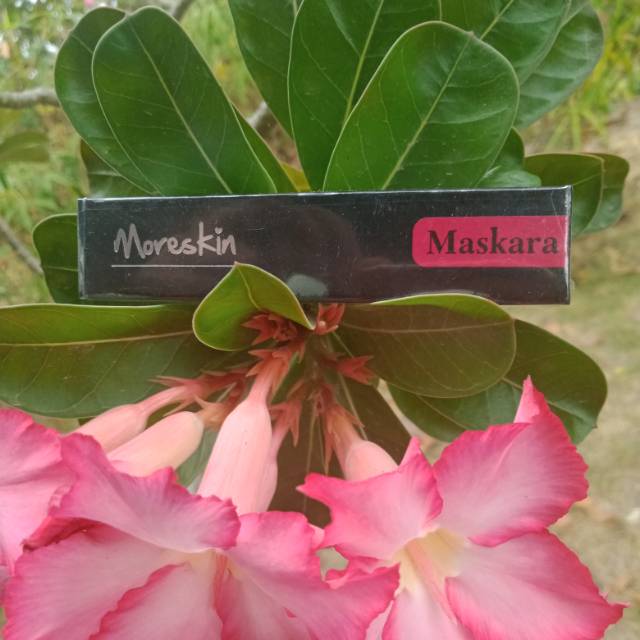 Moreskin maskara
