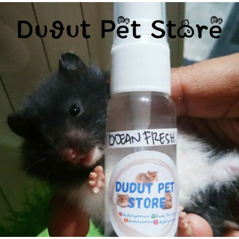Parfum Hamster Wangi 30 ml