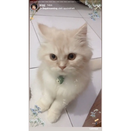KA OPI