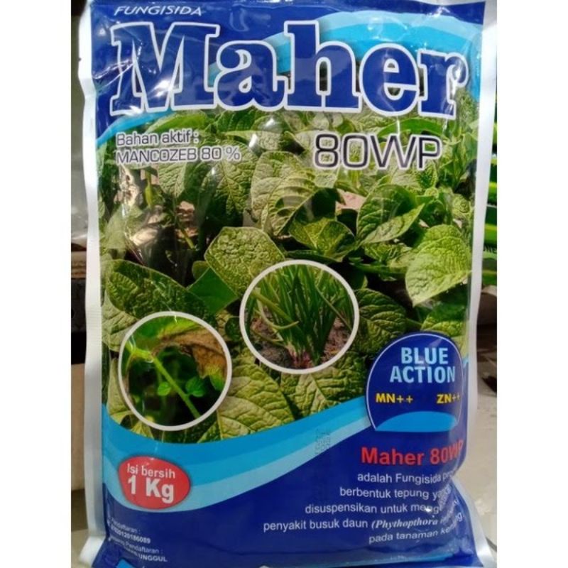 MAHER 80WP 1KG BLUE/BIRU