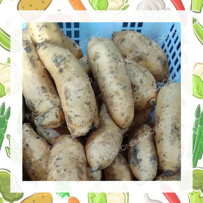 Ubi Madu Cilembu