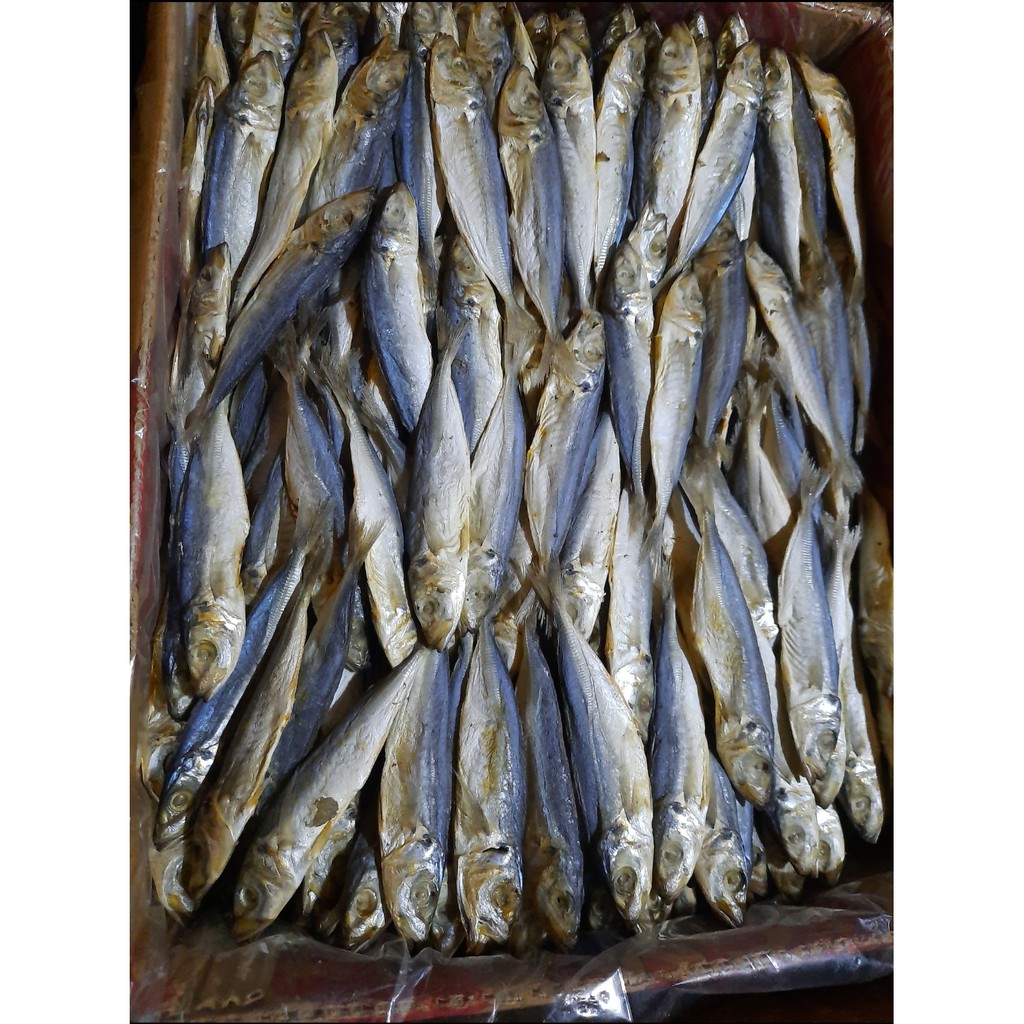 Ikan asin japuh/layang