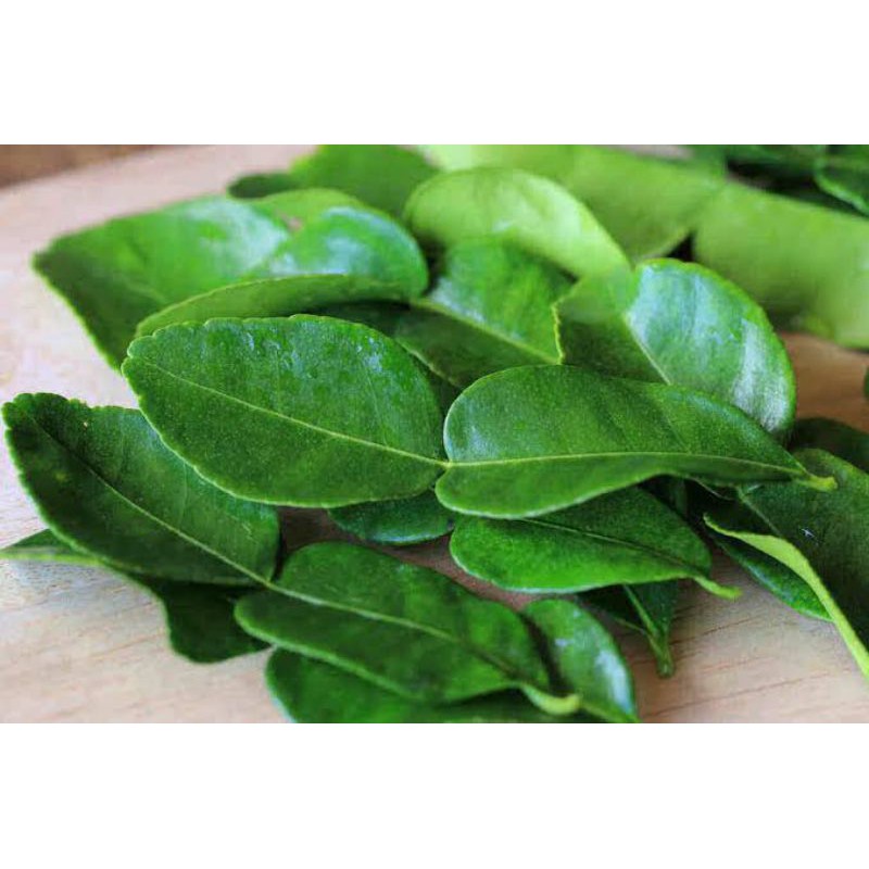 Daun jeruk per pack