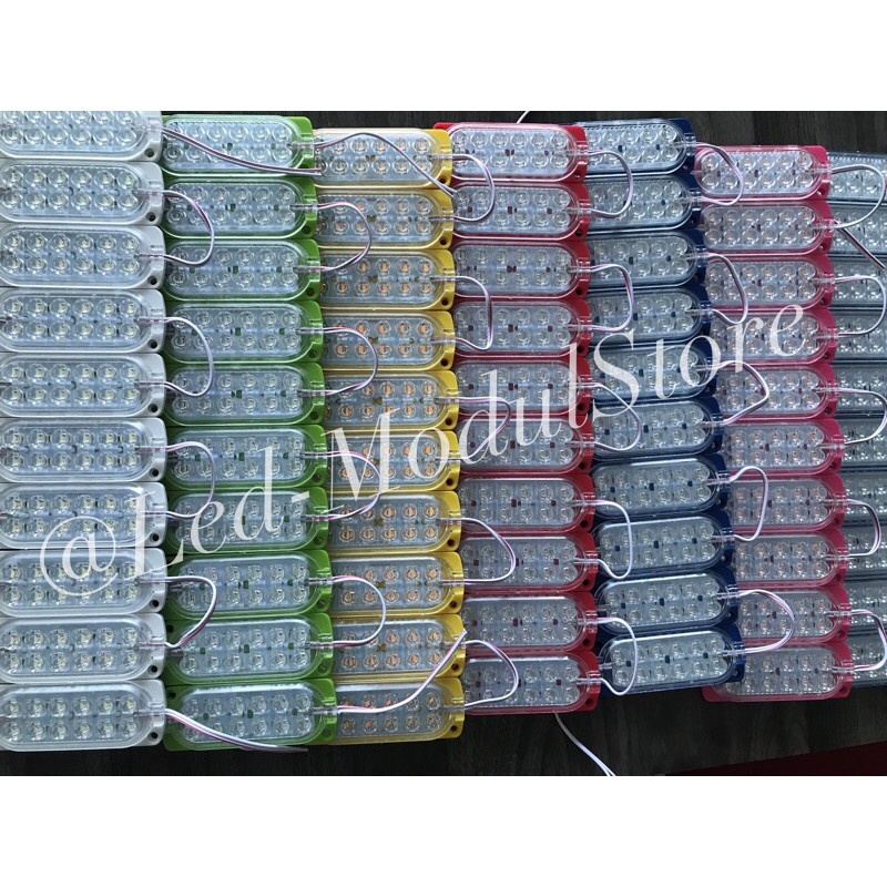Led Modul 12 Led tipe 10438 24 Volt