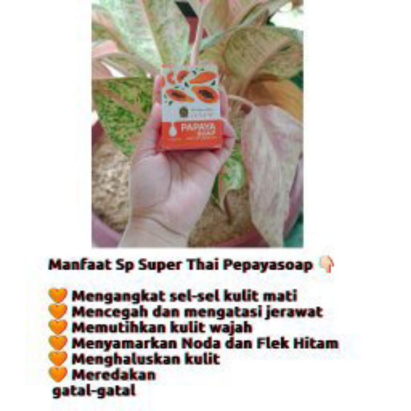 Sp Super thai Pepaya soap