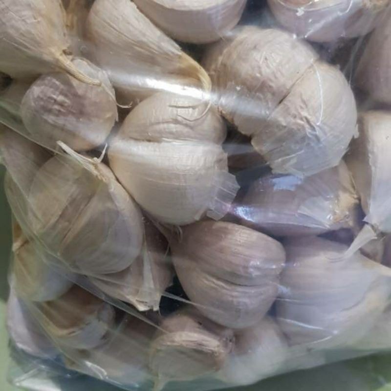 Bawang Putih KATING