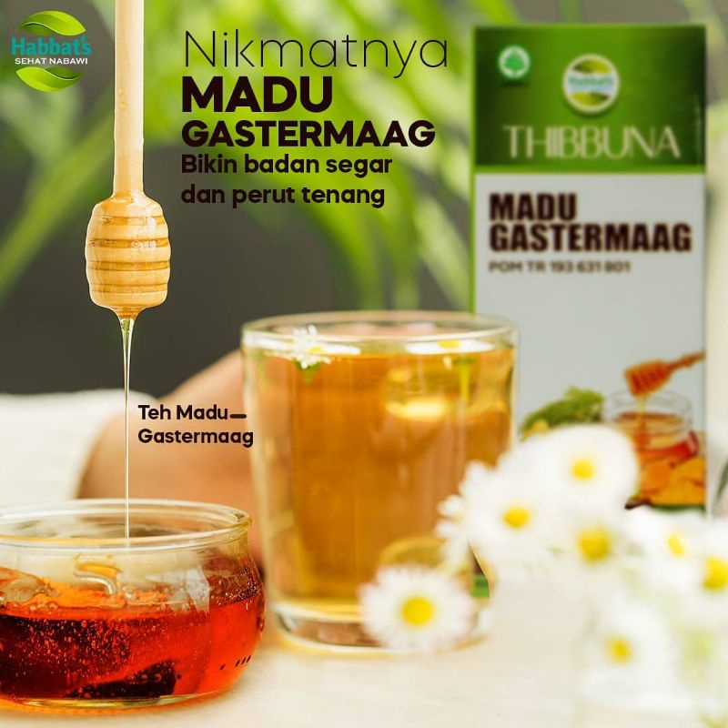 gastermaag.madulambung