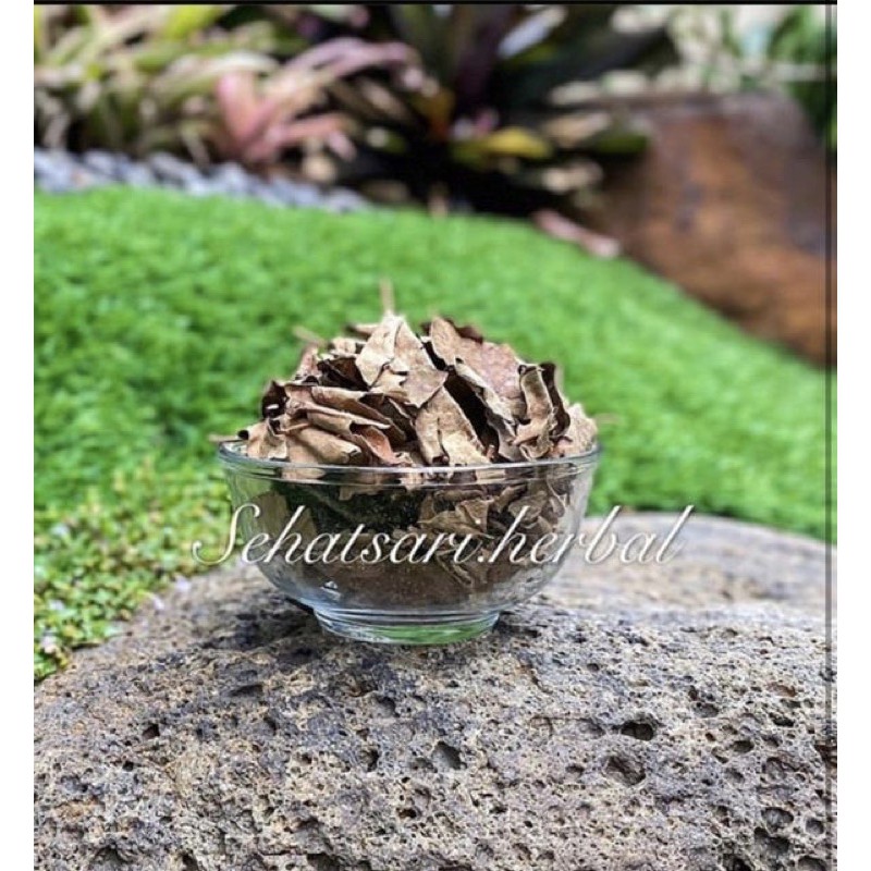 benalu teh daun